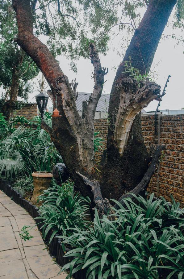 Towers Lodge Boksburg Ngoại thất bức ảnh